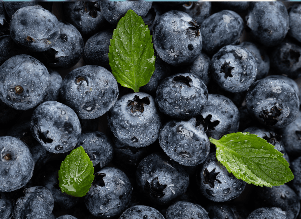 NiteHush Pro Ingredients